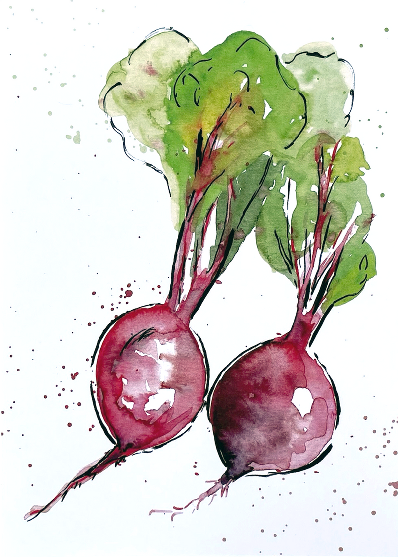 watercolor radishes kitchen print or card