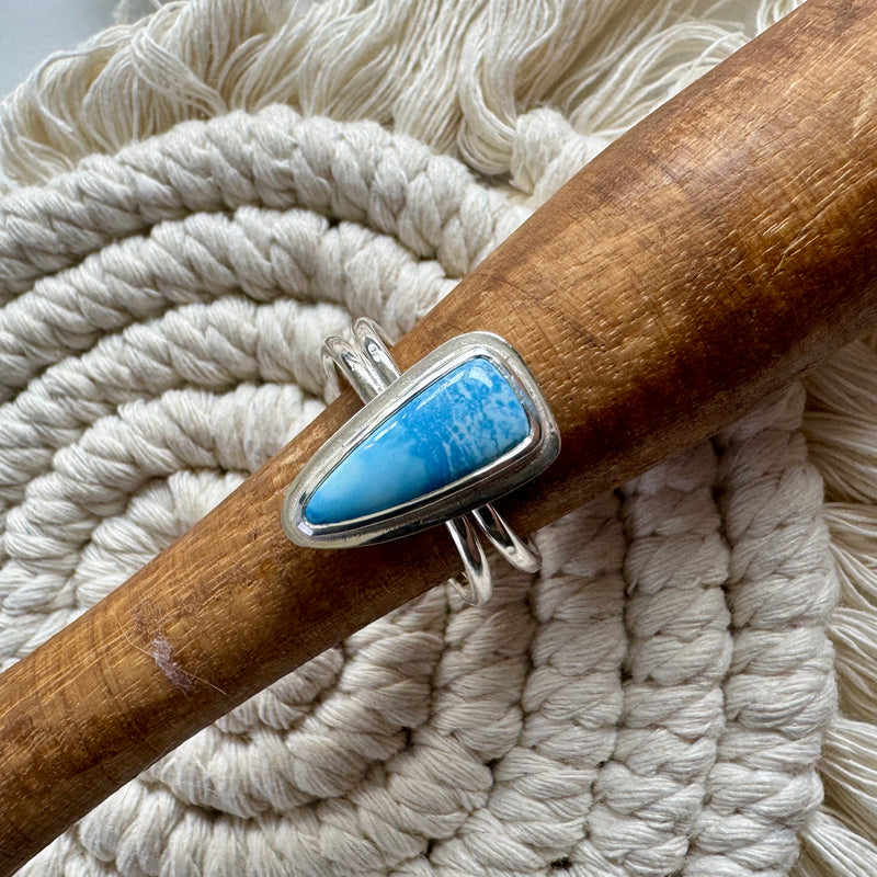 Golden Hills Turquoise Double Band Ring