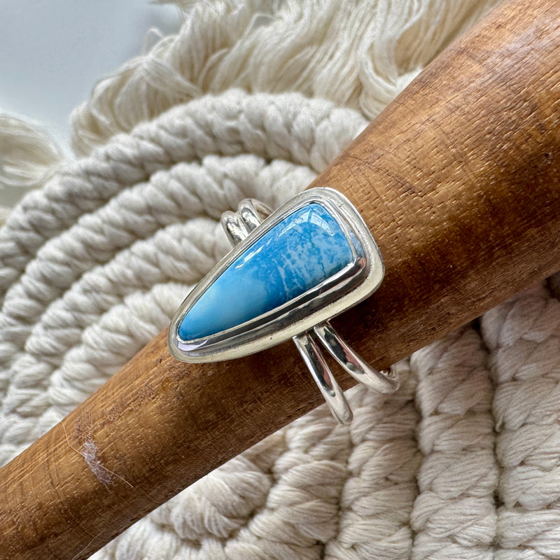 Golden Hills Turquoise Double Band Ring