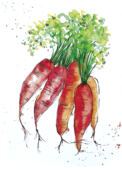 watercolor carrots kitchen print or card