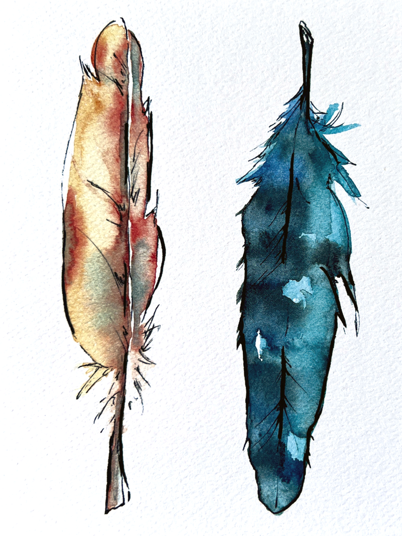 two watercolor feathers print