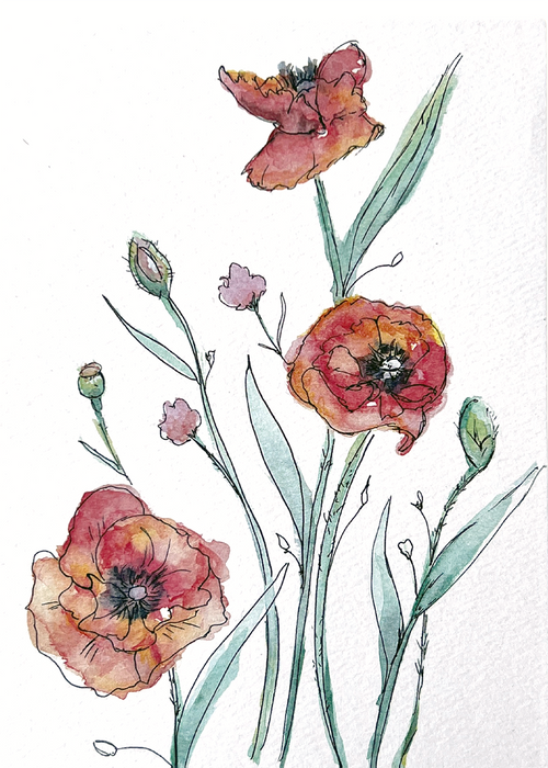 Red Poppies Blank Notecard with envelope
