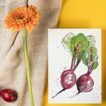watercolor radishes kitchen print or card